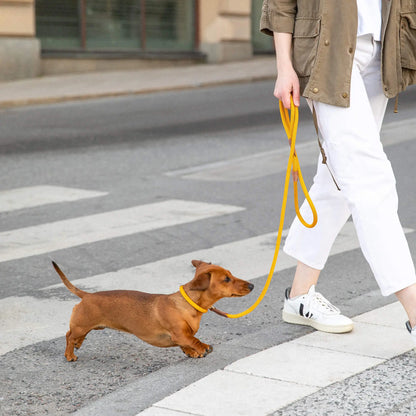 Hundekobbel Torekov Sunflower Yellow – Denjo Dogs