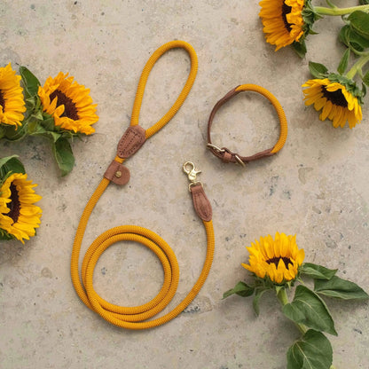 Hundekobbel Torekov Sunflower Yellow – Denjo Dogs