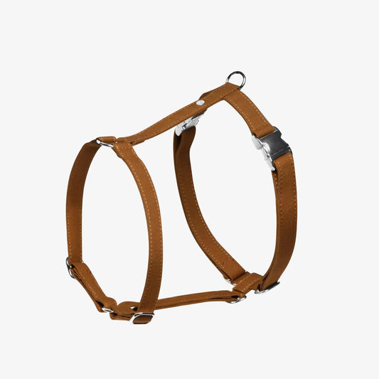 Hundesele Signature  Go Sennepsgul – Denjo Dogs