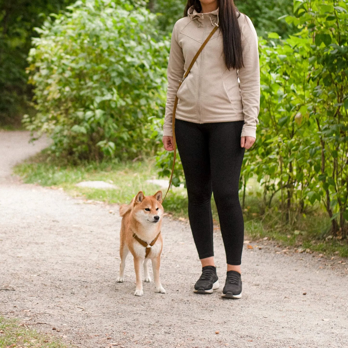 Justerbart Kobbel Signature Go Sennepsgul – Denjo Dogs
