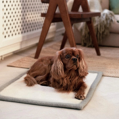 Pledd Snuggle Greige – Denjo Dogs