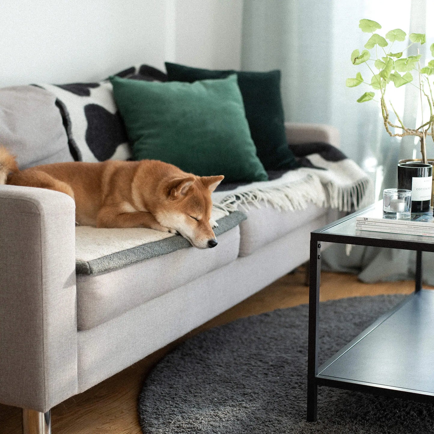 Pledd Snuggle Mørkgrønn – Denjo Dogs