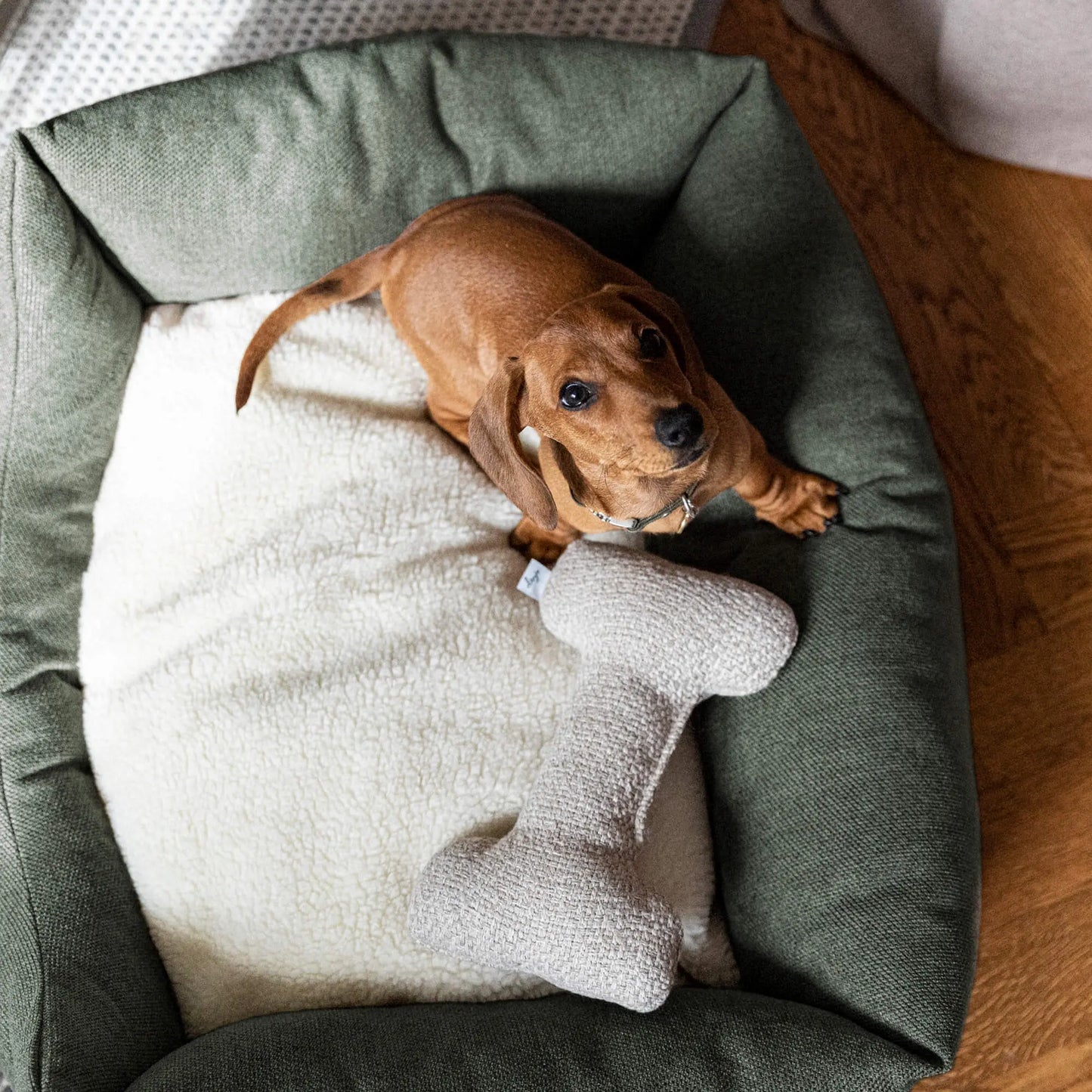 Hundeseng Teddy Lounge Moss Green – Denjo Dogs